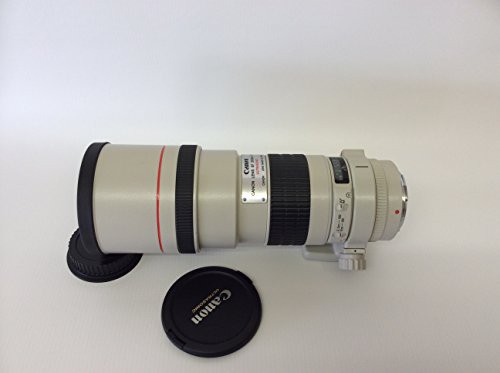 Canon キャノン EF 300mm F4L USM 高級単焦点レンズ カメラ(中古品)の